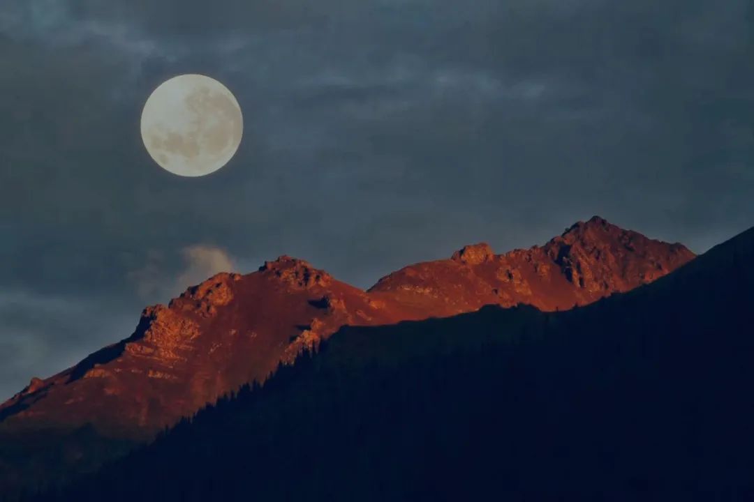 明月关山家国情——竹笛与钢琴《关山月随想》